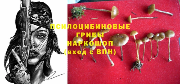 PSILOCYBIN Верея