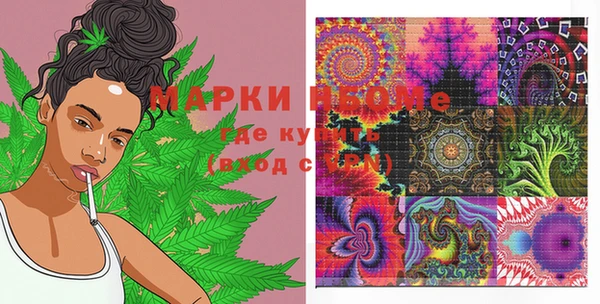 PSILOCYBIN Верея